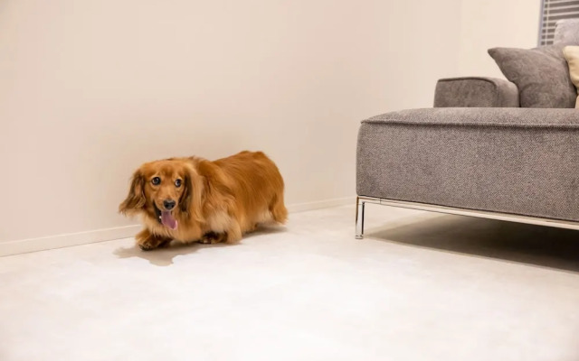 ONE WORLD Sakaisuji Hommachi