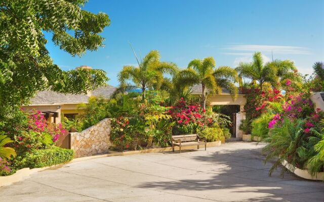 Anguilla's Bird of Paradise