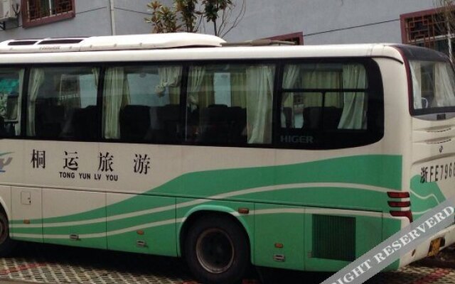 Qing Qing njl