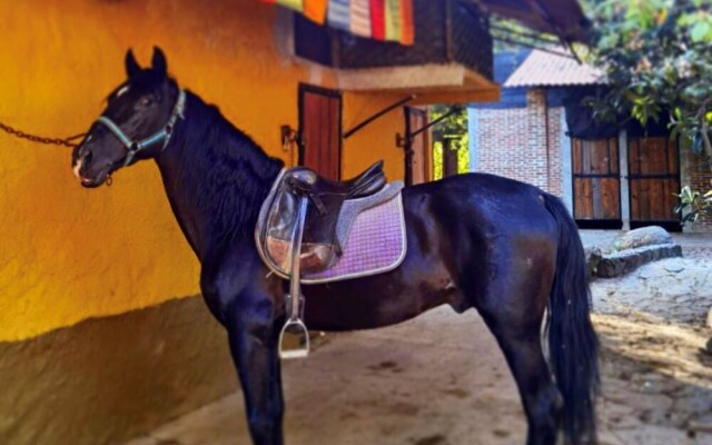 Casa LUNAH Cabalgatas y Meditación