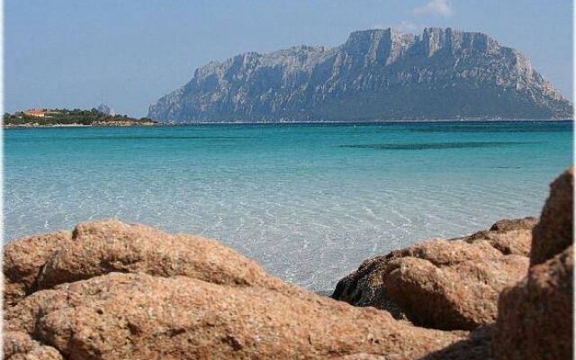 Bed & Breakfast Nettuno