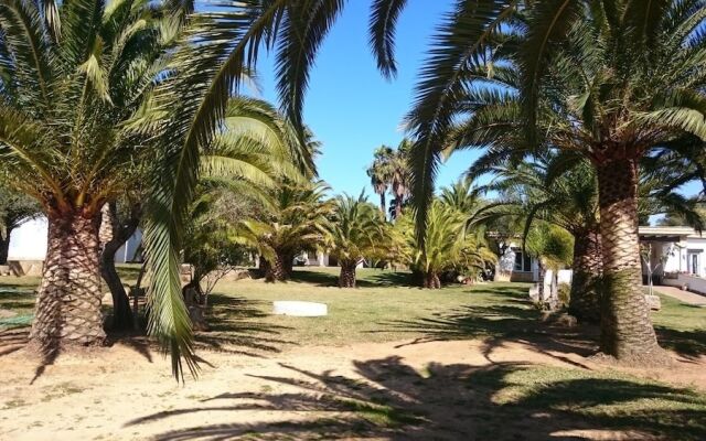 El Olivar de Roche Viejo