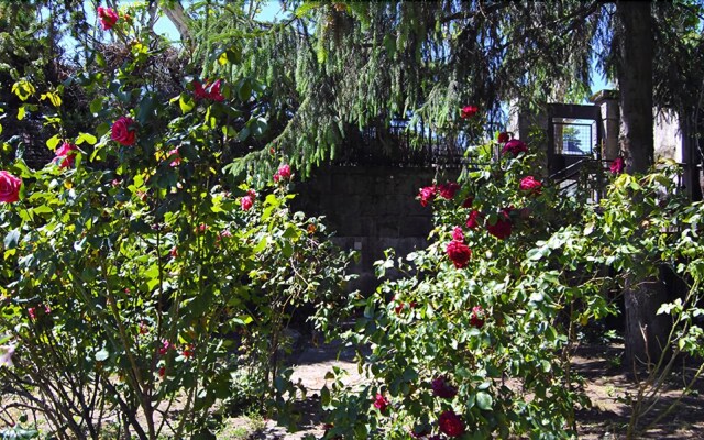 Casa El Árbol del Lilo