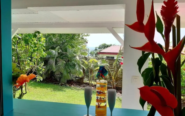 Sainte-Luce 2 T1 Hibiscus Et Colibris (Adults Only)