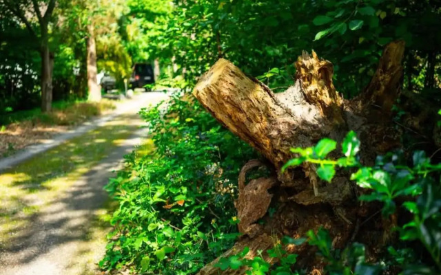 Apartment in Geesthacht Near Elbe River