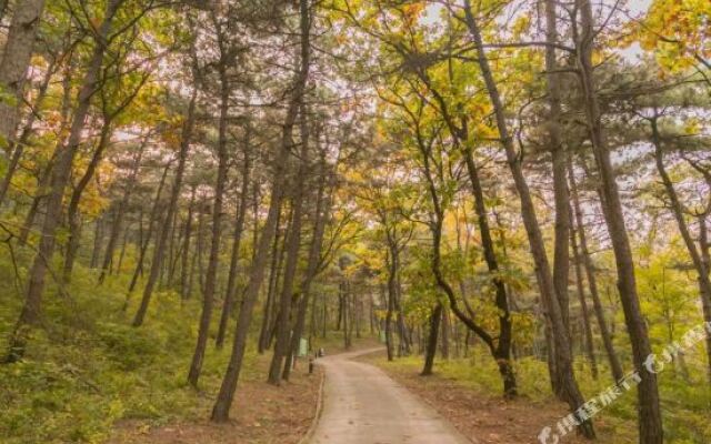 Jinchao Yuma Yaji Mountain Forest Hotel