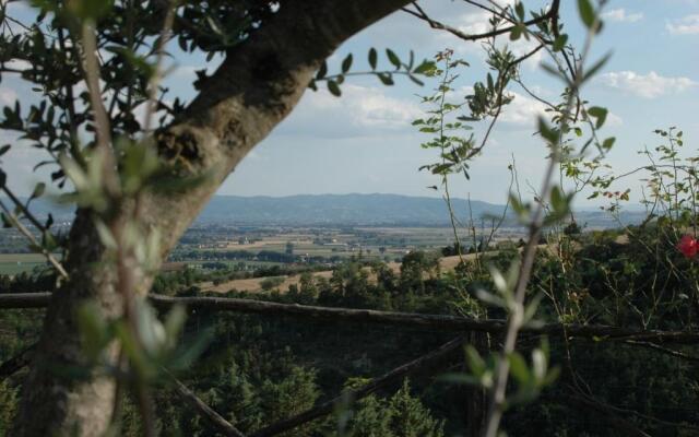 Castel dArno