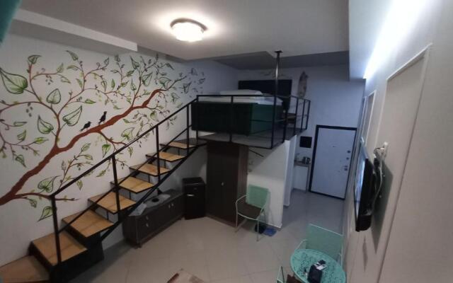 Studio Apartment Bela