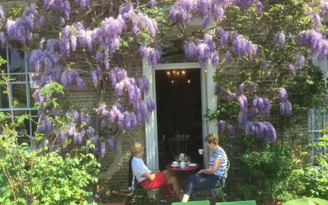 Peacocks Tearoom and Fine B&B