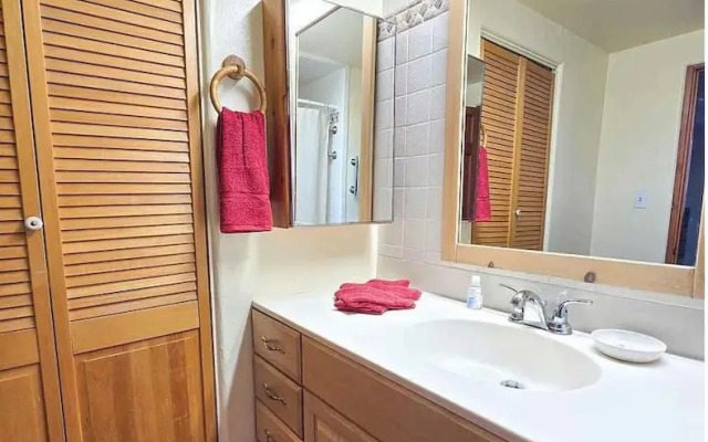 Vigilante Inn Immortal Camp