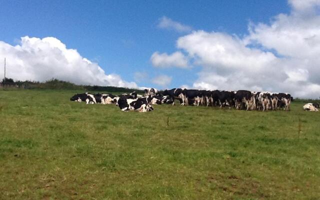 North Hollacombe Farm