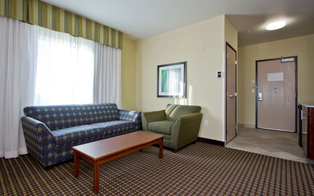 Holiday Inn Express Hotel & Suites Denver East-Peoria Street by IHG