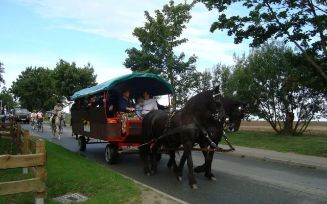 Yellow - Peter's Modern Retreat