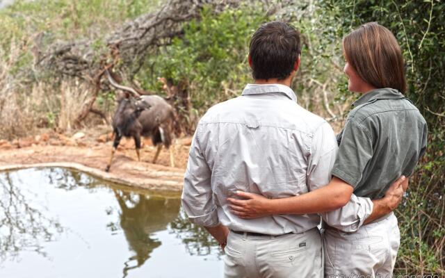 Thanda Safari