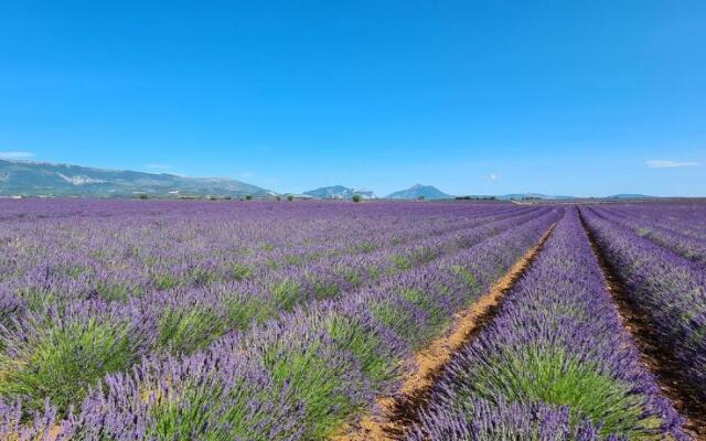 Residence T2 Du Golf De Digne