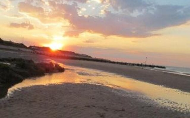 Seals Bacton