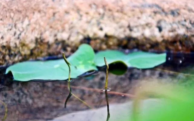 Yongyuanju Boutique Hostel