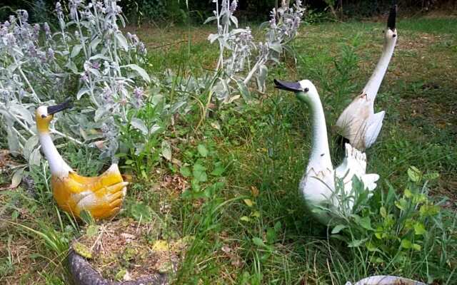 Roulotte Zelena Hora