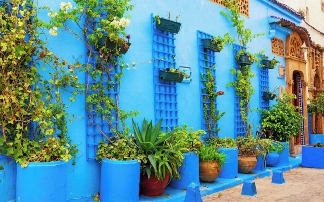 Appartement Cozy & Elégant-Centre Rabat