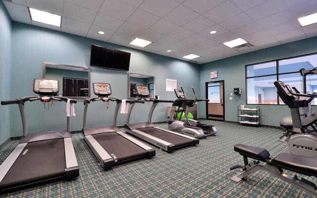 Holiday Inn Hotel & Suites Edmonton Airport & Conference Ctr by IHG