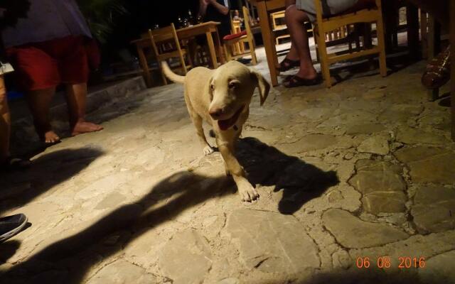 Koyevi Olympos Countryhouse