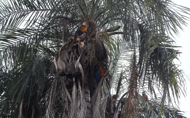 Hotel Thermas Lagoa Santa