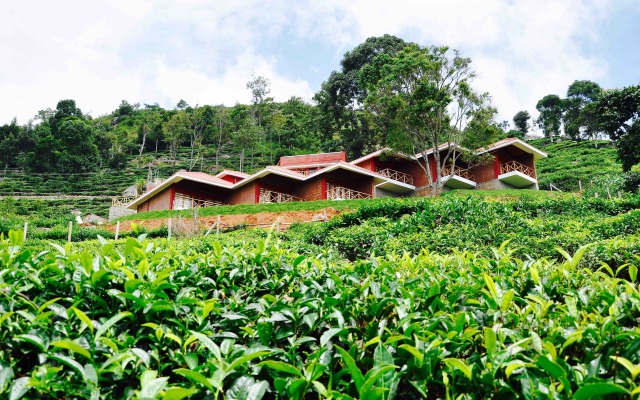 Hanging Huts Resort - Kotagiri