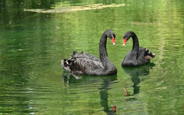 Château de Grand Tonne