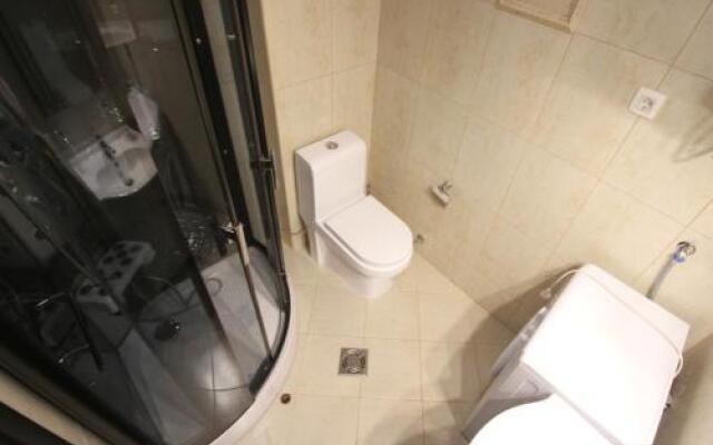 Apartment Gosposhtina 219