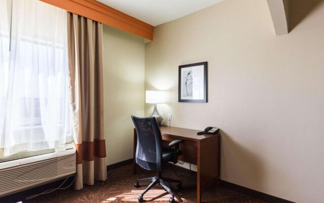 Econo Lodge Inn & Suites East