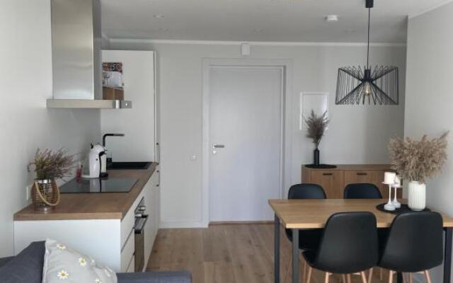 Divas Laivas apartments with a terrace