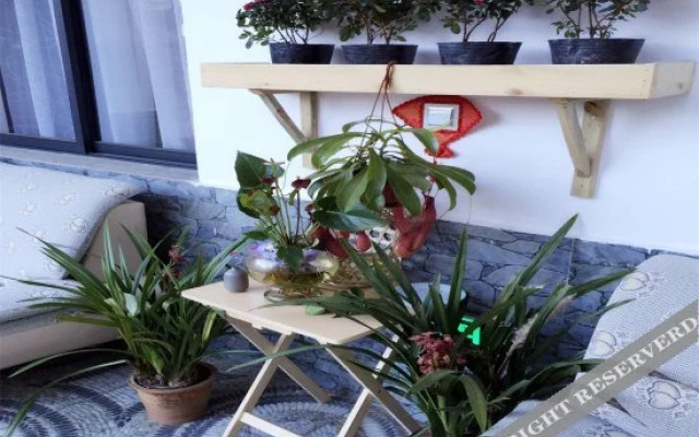 Old Town of Dali Guanshan Jiayuan Boutique Hostel