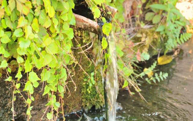 Fonte dell' Vsignolo