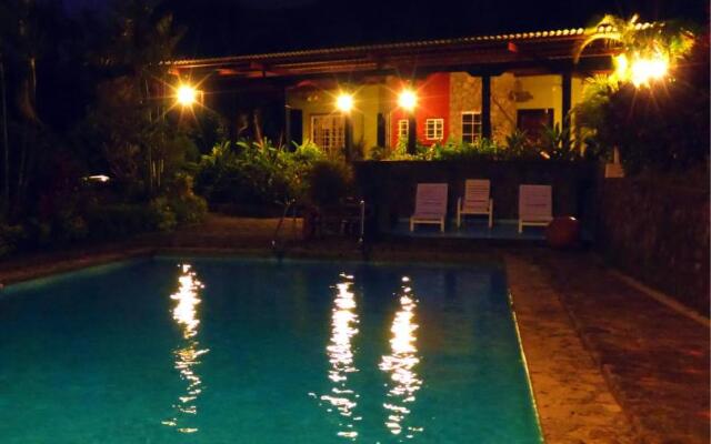 The Golden Frog Inn