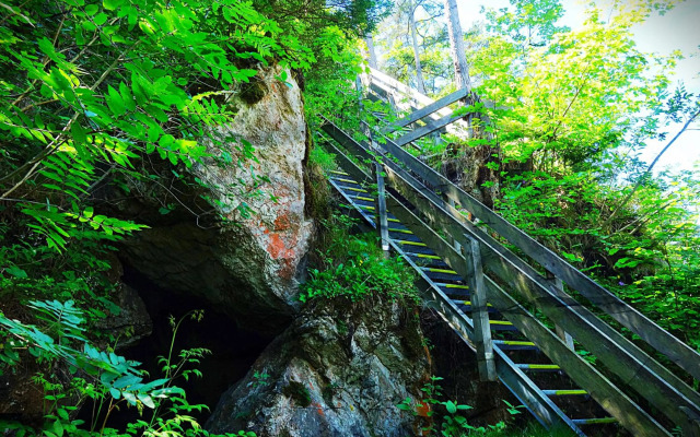 Predigtstuhlblick Apartment - Terrasse - Pool - Panorama