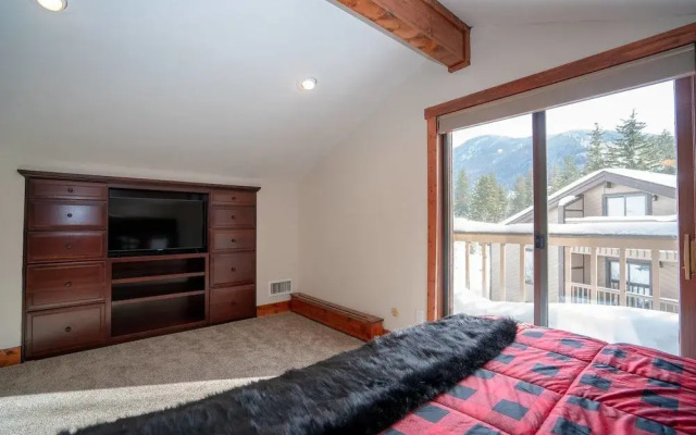 The Mountain Escape in Vail