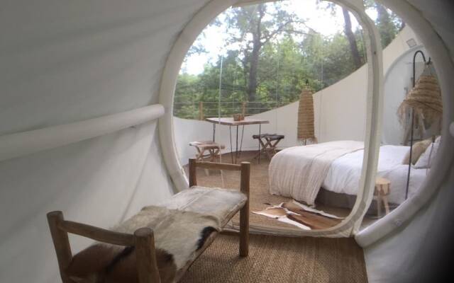 Les Bulles de Bordeaux