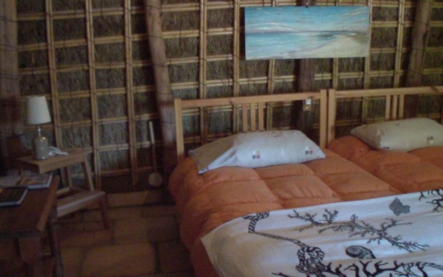 Casas Harry