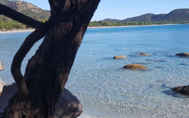 Rocca Rossa Locations gîtes Palombaggia