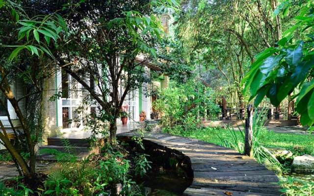 Taomi Guesthouse