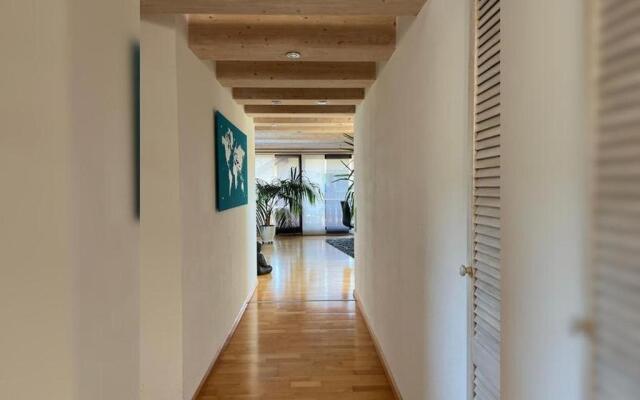 Black Forest Appartement - Brandenkopfblick