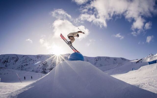 ATH Alpenpark Turrach, Zirbenwald III_16