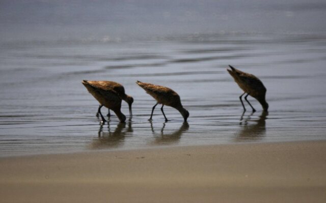 The Inn at the Tides