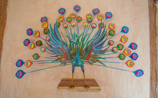 Life Source Retreats Tulum - All Inclusive