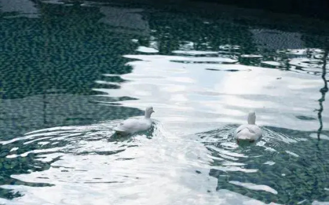Anji Xiaoyaogu | Suye Huijing · Canyon Pool Vacation Boutique Stay