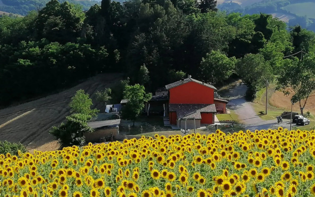 Cozy holiday home in the charming Urbino countryside