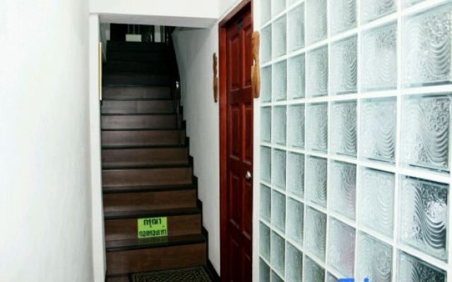 Noy's House