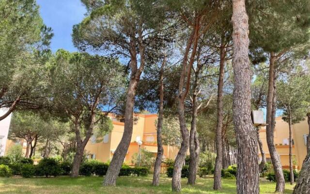 Appartement Argelès-sur-Mer, 1 pièce, 2 personnes - FR-1-225-449