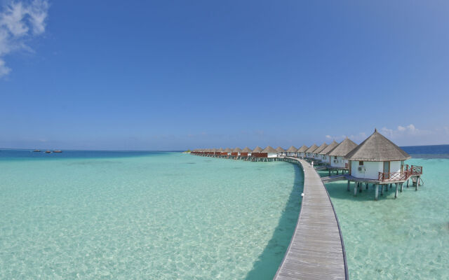 Safari Island Resort