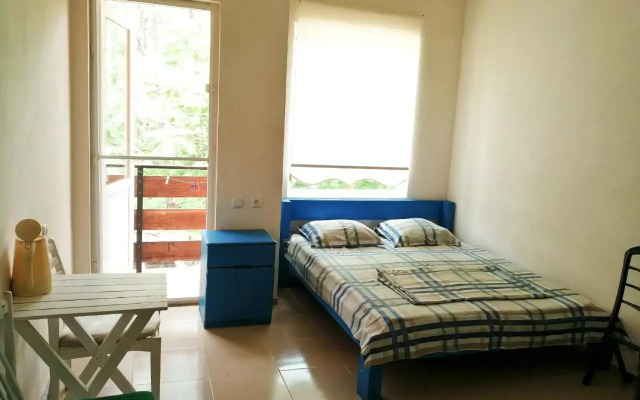 House at Shekvetili Beach